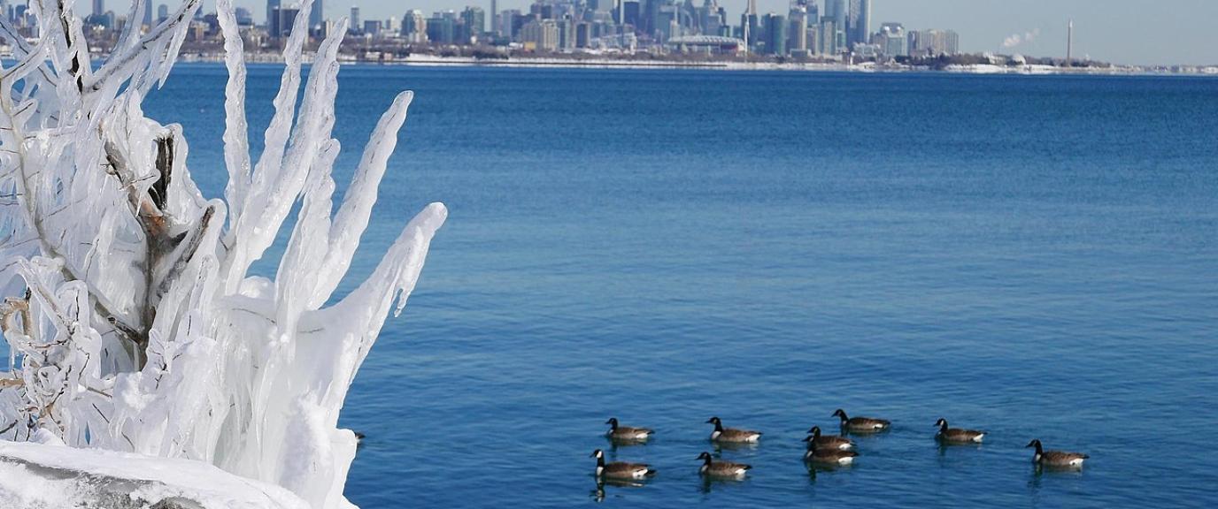 Picture of Toronto Waterfront from Etobicoke